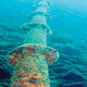 Illustration for article titled Undersea Internet Cables Are Dangerously Vulnerable To Attack